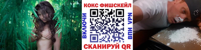 где купить наркоту  Симферополь  КОКАИН 99% 