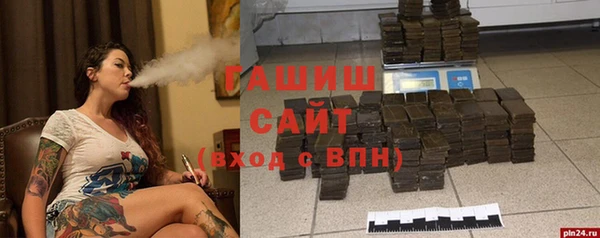 хмурый Дмитров