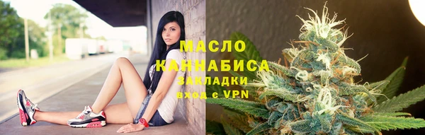 винт Ельня