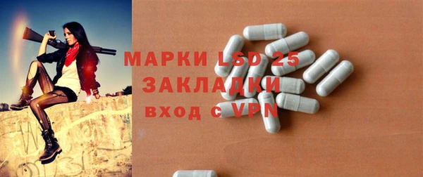 винт Ельня