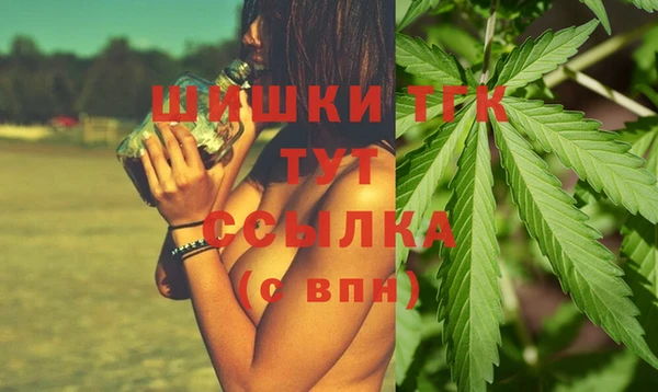 амф Краснослободск