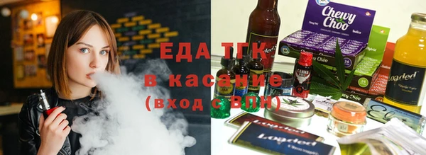 винт Ельня