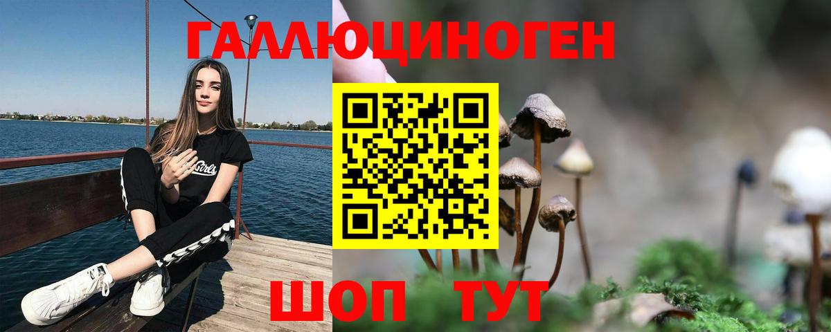 Псилоцибиновые грибы Psilocybine cubensis  Симферополь 