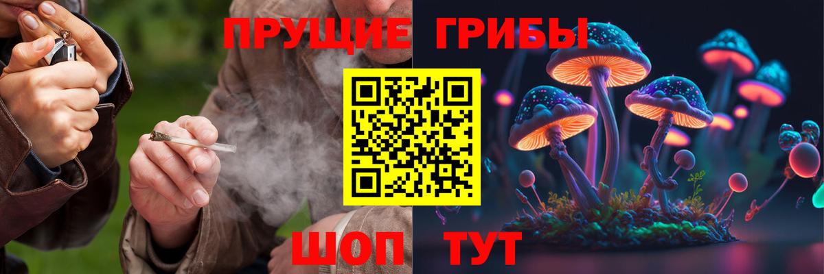 Симферополь  Галлюциногенные грибы GOLDEN TEACHER  Вход с VPN  Псилоцибиновые грибы GOLDEN TEACHER 